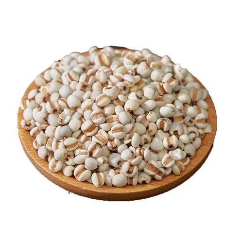 Coix Seed