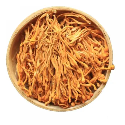 蟲(chóng)草花