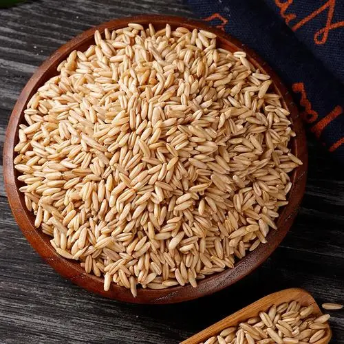 Organic Oat Rice