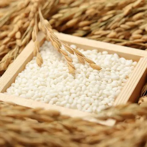 Organic Glutinous Rice