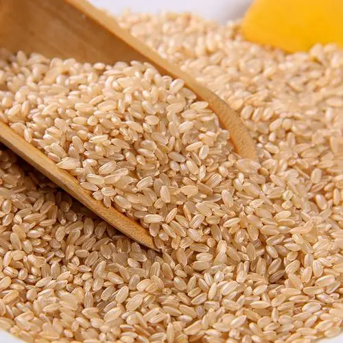 Organic Brown Rice