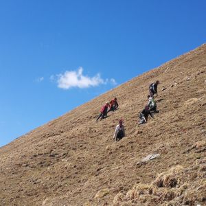 original environment